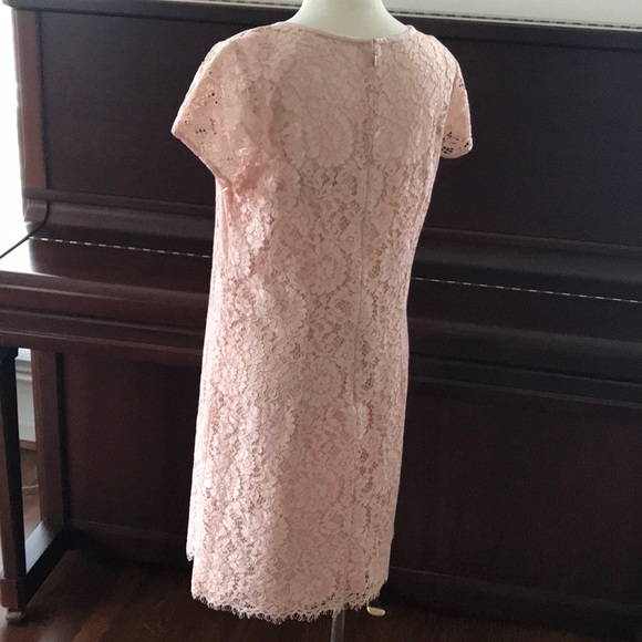 Ann Taylor Loft Lace Dress - Picture 3 of 5